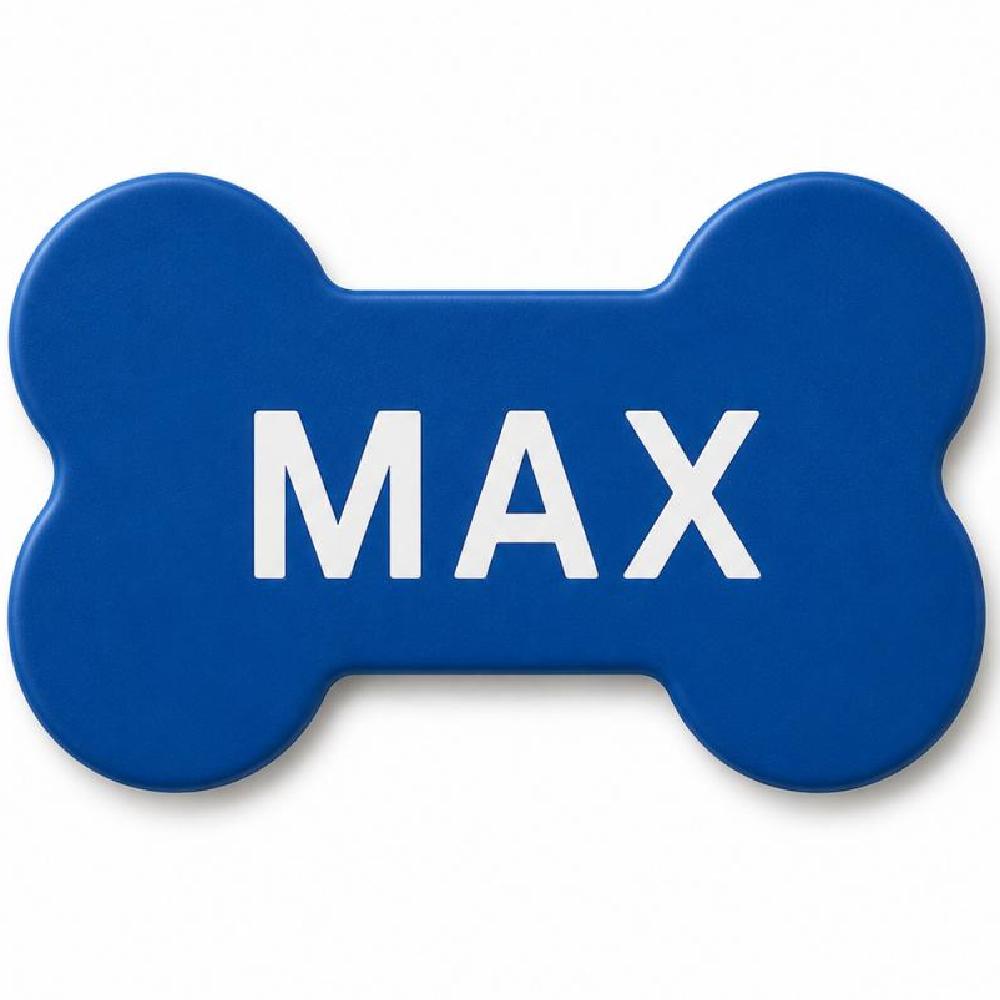 Personalized Pet Name Tag