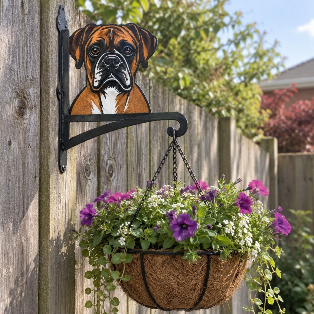 Hanging Basket Bracket – boxer