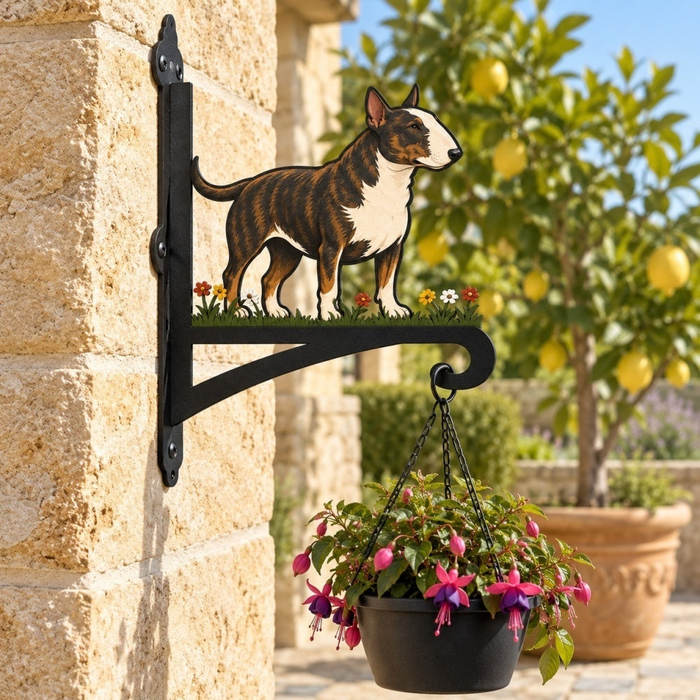 Hanging Basket Bracket – Bull Terrier