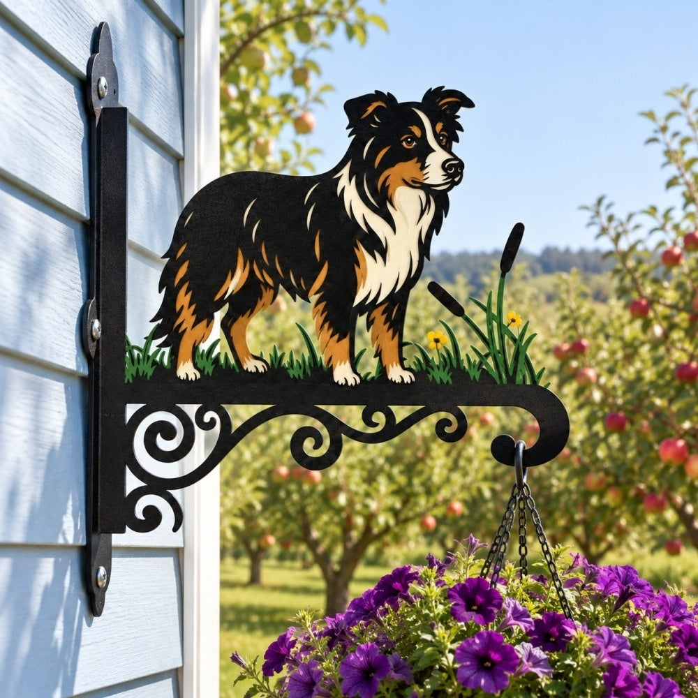 Hanging Basket Bracket – Border Collie