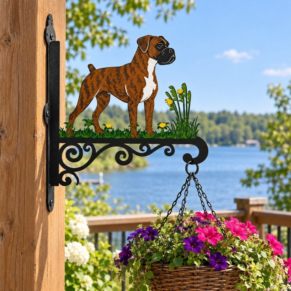 Hanging Basket Bracket – Boxer
