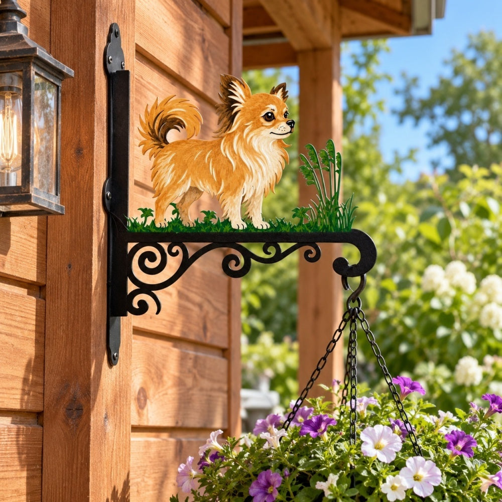 Hanging Basket Bracket – Chihuahua