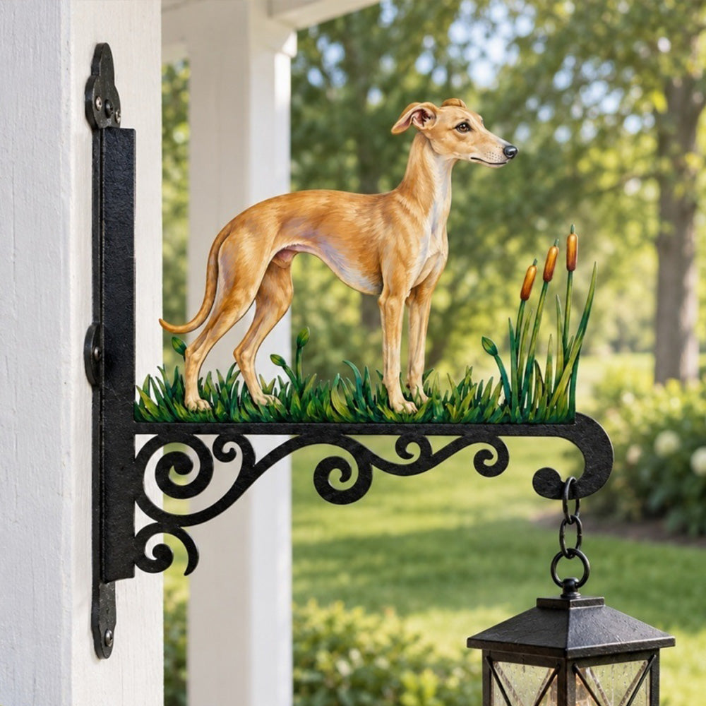 Hanging Basket Bracket – Greyhound