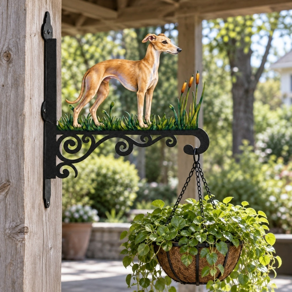 Hanging Basket Bracket – Greyhound