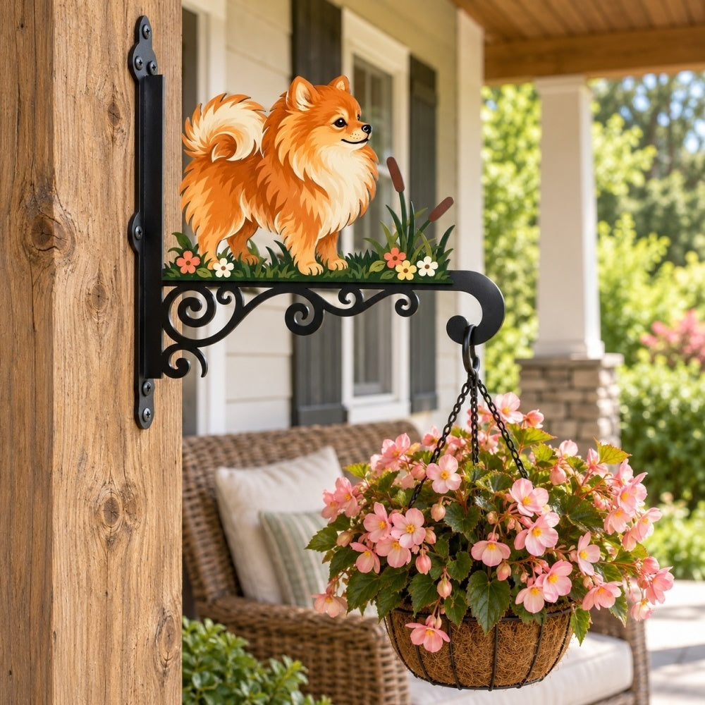 Hanging Basket Bracket – Pomeranian