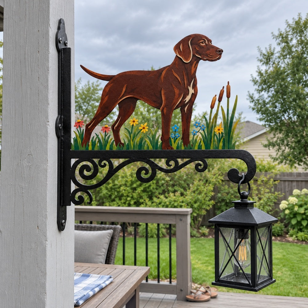 Hanging Basket Bracket – Vizsla