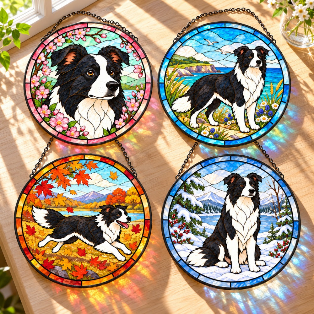 Stained Glass Suncatcher Set of 4 - Border Collie