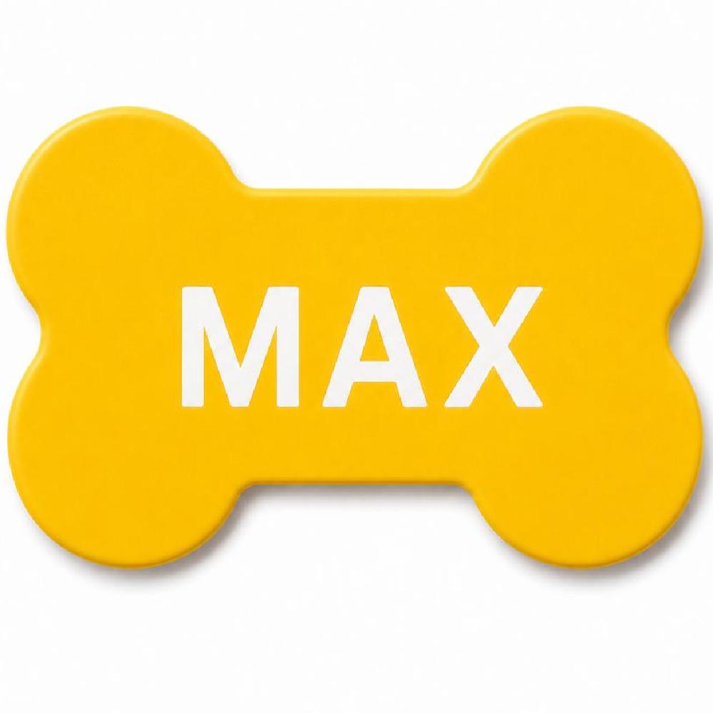 Personalized Pet Name Tag