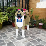 Akita Inu dog planter filled with fresh flowers is placed in the garden