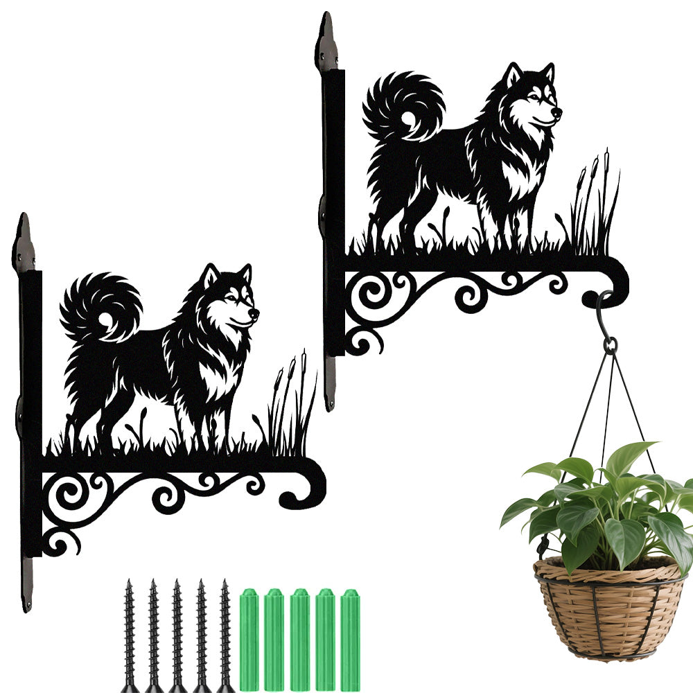Alaskan malamute metal hanging basket bracket mounted on outdoor wall for plant decoration