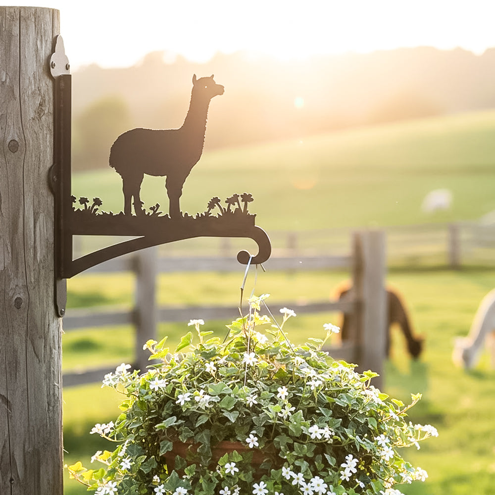 Alpaca llama metal hanging basket bracket mounted on outdoor wall for plant decoration
