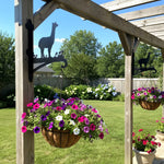 Alpaca llama metal hanging basket bracket mounted on outdoor wall for plant decoration