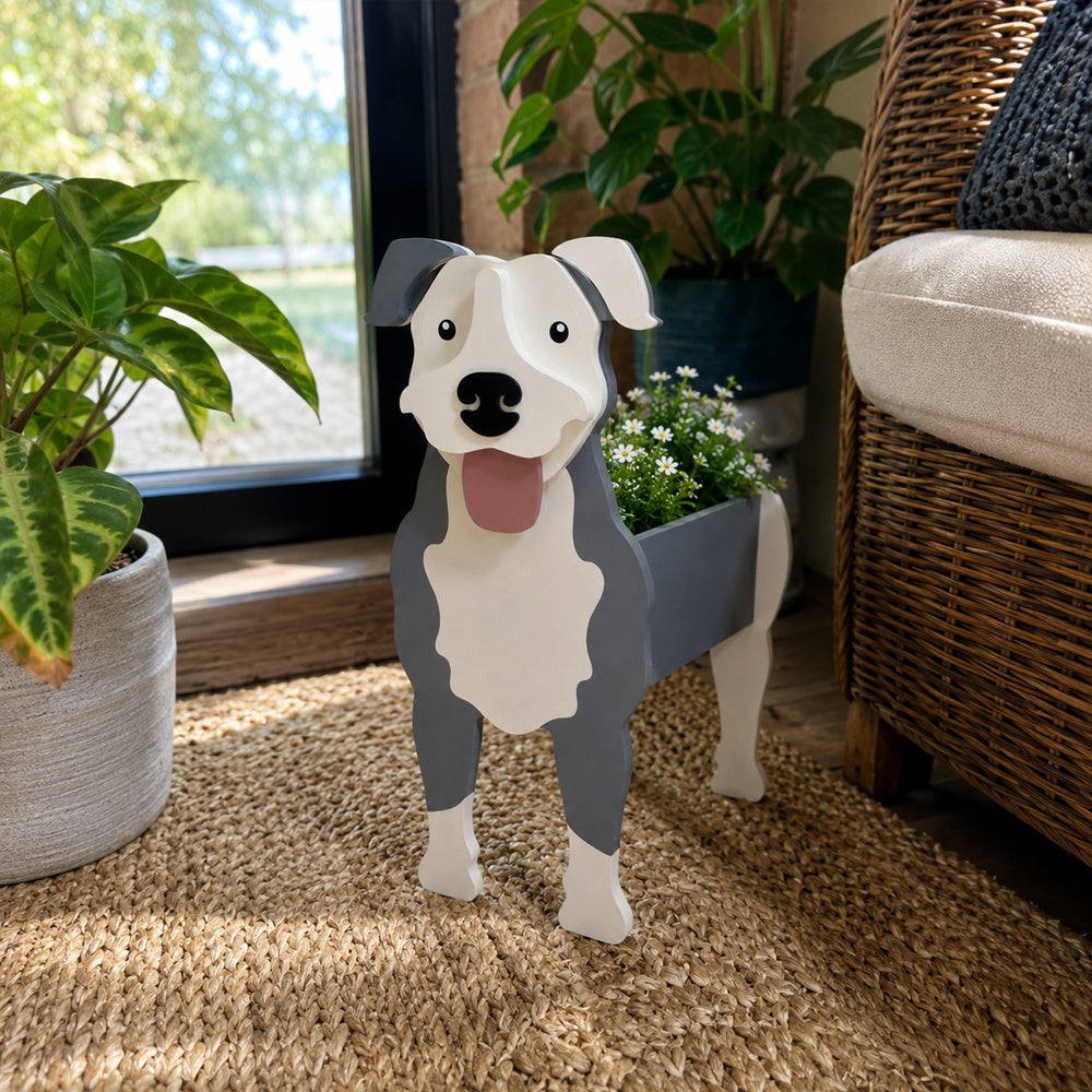 American Pit Bull Terrier dog planter filled with fresh flowers is placed in the garden