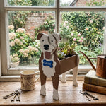 American Pit Bull Terrier dog planter filled with fresh flowers is placed in the garden