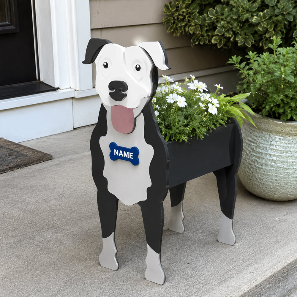 American Pit Bull Terrier dog planter filled with fresh flowers is placed in the garden