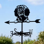 American Water Spaniel metal weather vane with directional arrows and mounting rod, outdoor roof and garden decoration
