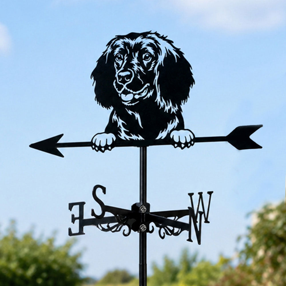 American Water Spaniel metal weather vane with directional arrows and mounting rod, outdoor roof and garden decoration