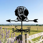 American Water Spaniel metal weather vane with directional arrows and mounting rod, outdoor roof and garden decoration