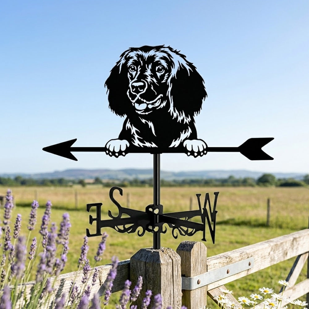 American Water Spaniel metal weather vane with directional arrows and mounting rod, outdoor roof and garden decoration
