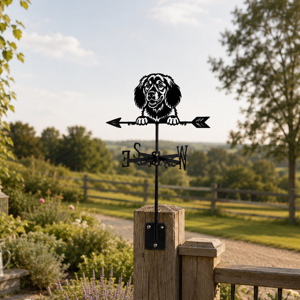 American Water Spaniel metal weather vane with directional arrows and mounting rod, outdoor roof and garden decoration