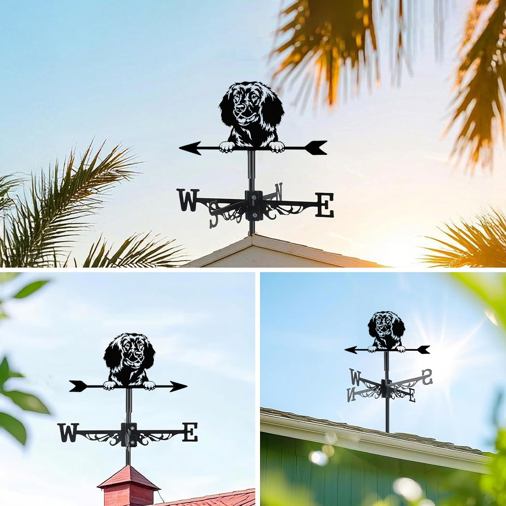 American Water Spaniel metal weather vane with directional arrows and mounting rod, outdoor roof and garden decoration