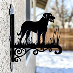 Anatolian shepherd dog metal hanging basket bracket mounted on outdoor wall for plant decoration