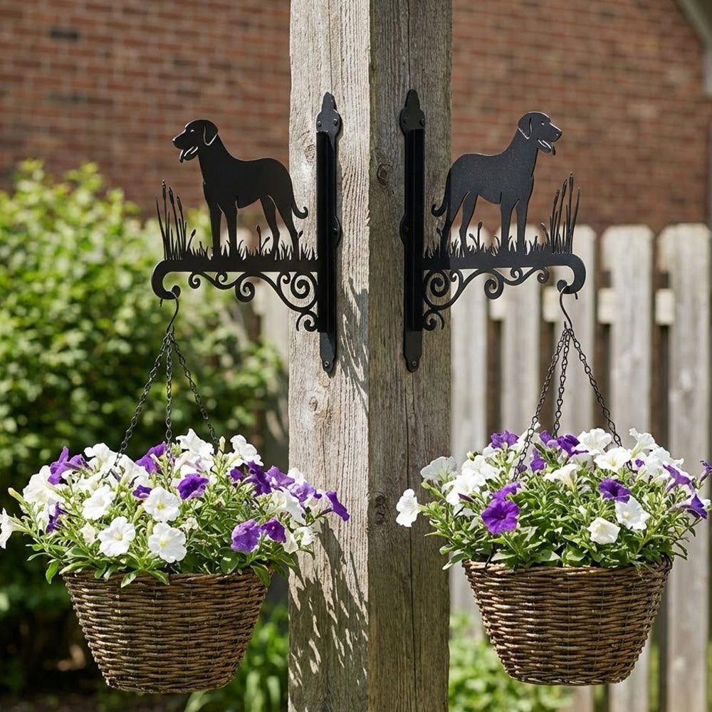 Anatolian shepherd dog metal hanging basket bracket mounted on outdoor wall for plant decoration