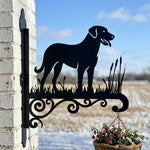 Anatolian shepherd dog metal hanging basket bracket mounted on outdoor wall for plant decoration
