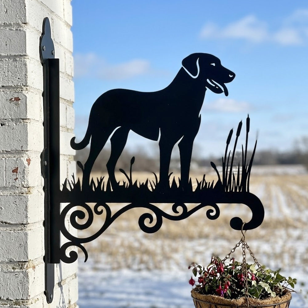 Anatolian shepherd dog metal hanging basket bracket mounted on outdoor wall for plant decoration