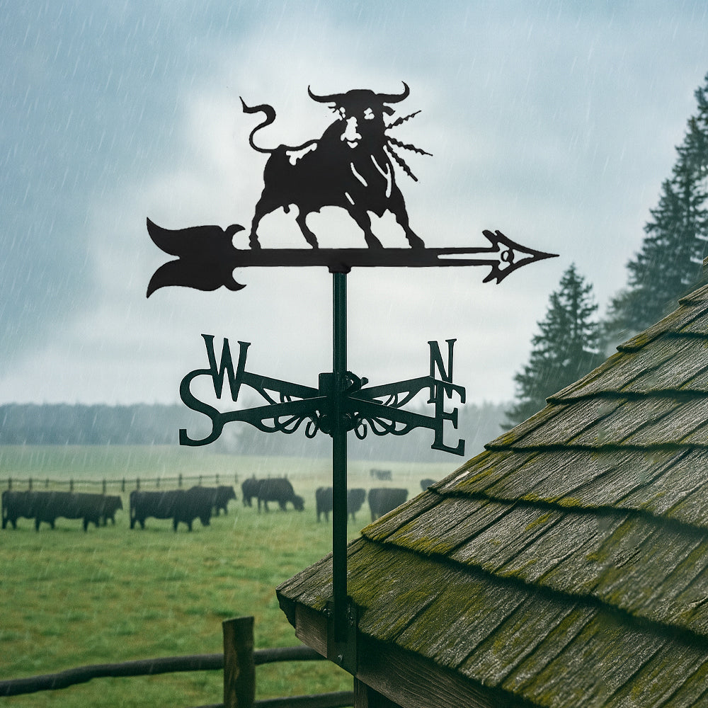 Angry bull metal weather vane with directional arrows and mounting rod, outdoor roof and garden decoration