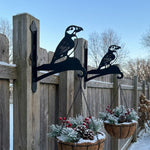 Atlantic puffin bird metal hanging basket bracket mounted on outdoor wall for plant decoration