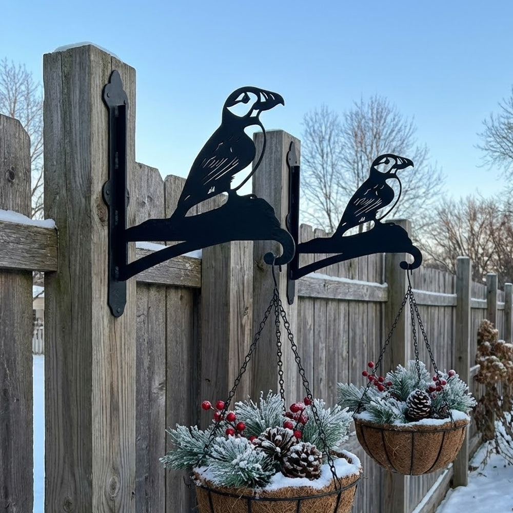 Atlantic puffin bird metal hanging basket bracket mounted on outdoor wall for plant decoration