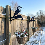 Atlantic puffin bird metal hanging basket bracket mounted on outdoor wall for plant decoration