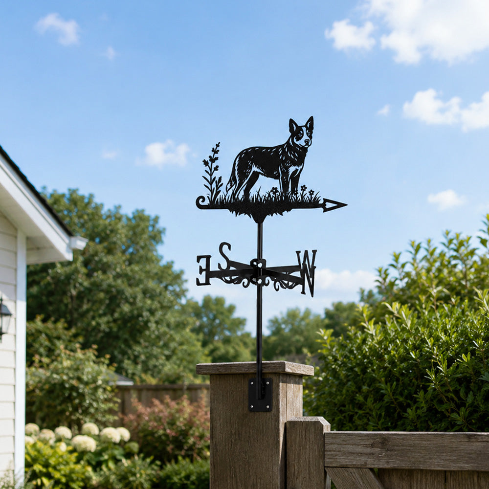Australian Cattle Dog metal weather vane with directional arrows and mounting rod, outdoor roof and garden decoration