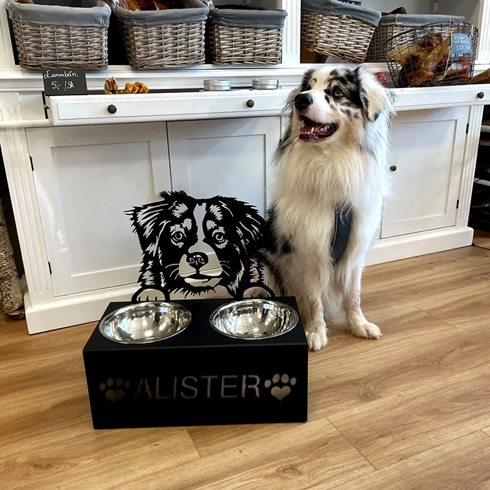 Personalized australian shepherd metal dog bowl stand with custom name cutout and two removable feeding bowls