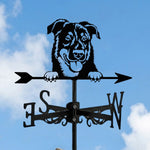 Beauceron dog metal weather vane with directional arrows and mounting rod, outdoor roof and garden decoration