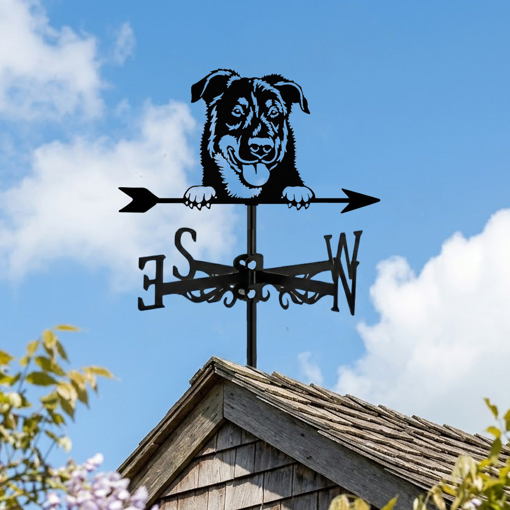 Beauceron dog metal weather vane with directional arrows and mounting rod, outdoor roof and garden decoration