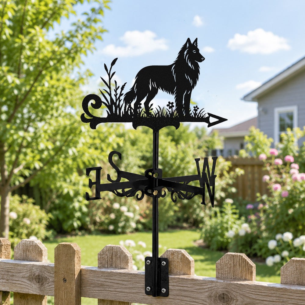 Belgian Groenendael metal weather vane with directional arrows and mounting rod, outdoor roof and garden decoration