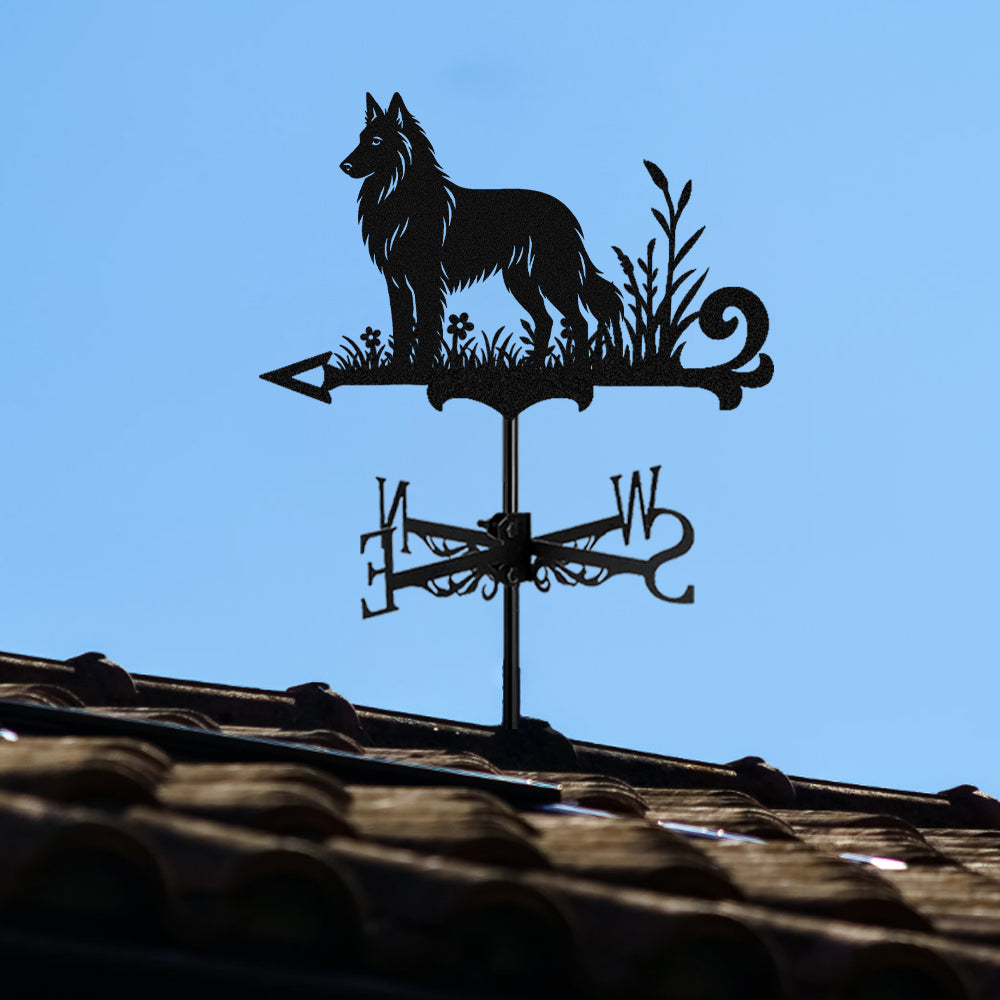 Belgian Groenendael metal weather vane with directional arrows and mounting rod, outdoor roof and garden decoration