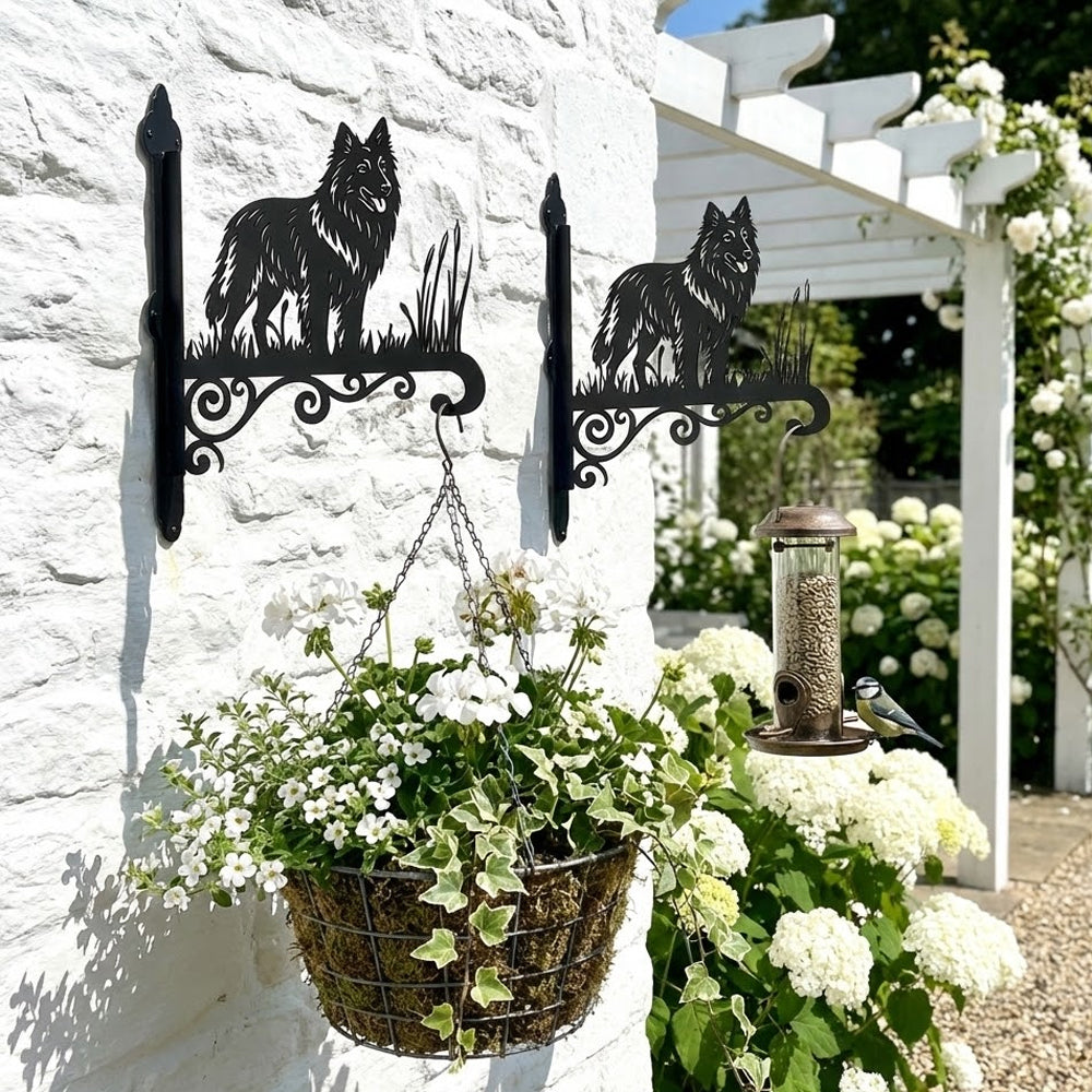 Belgian tervuren metal hanging basket bracket mounted on outdoor wall for plant decoration