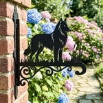 Belgian tervuren metal hanging basket bracket mounted on outdoor wall for plant decoration