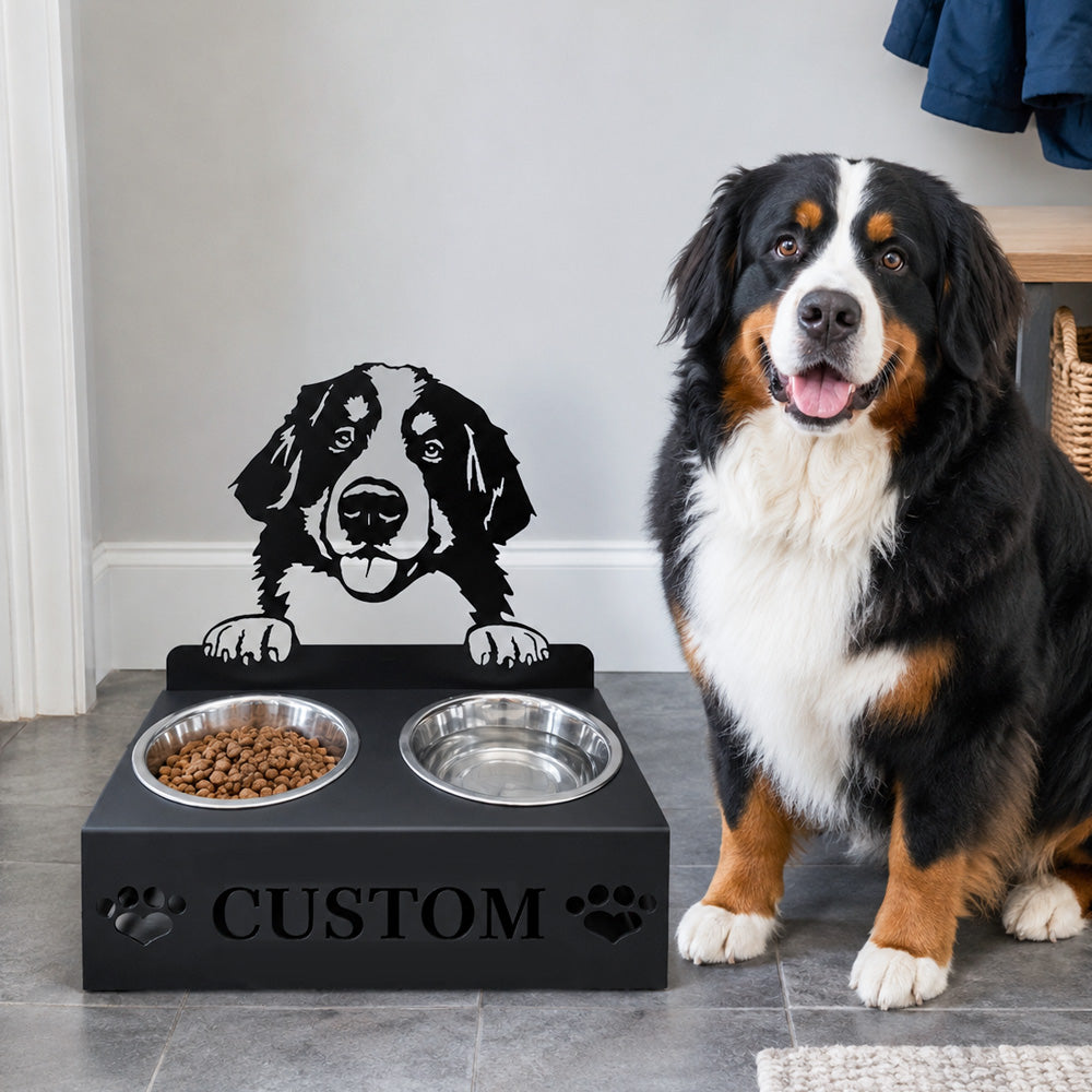 Personalized bernese mountain dog metal dog bowl stand with custom name cutout and two removable feeding bowls