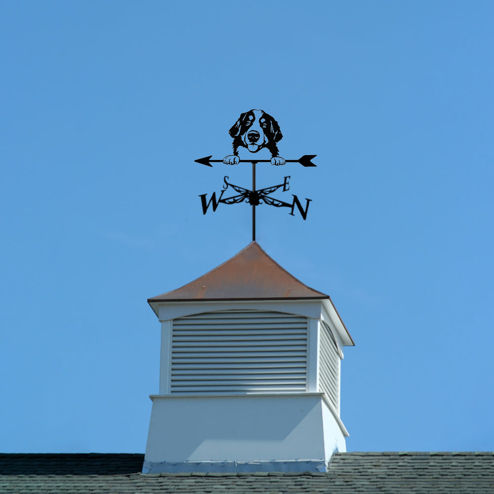 Bernese Mountain Dog metal weather vane with directional arrows and mounting rod, outdoor roof and garden decoration
