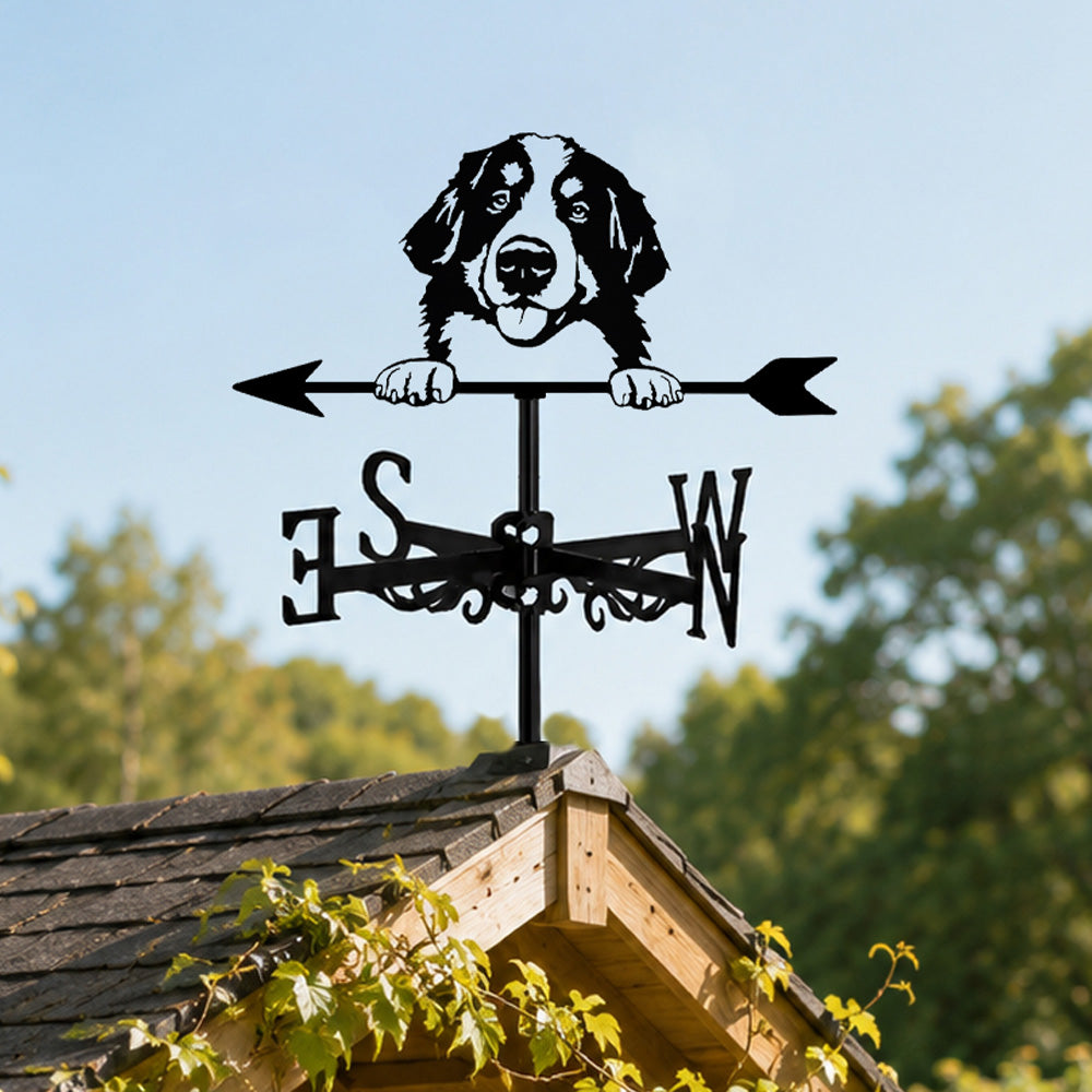 Bernese Mountain Dog metal weather vane with directional arrows and mounting rod, outdoor roof and garden decoration