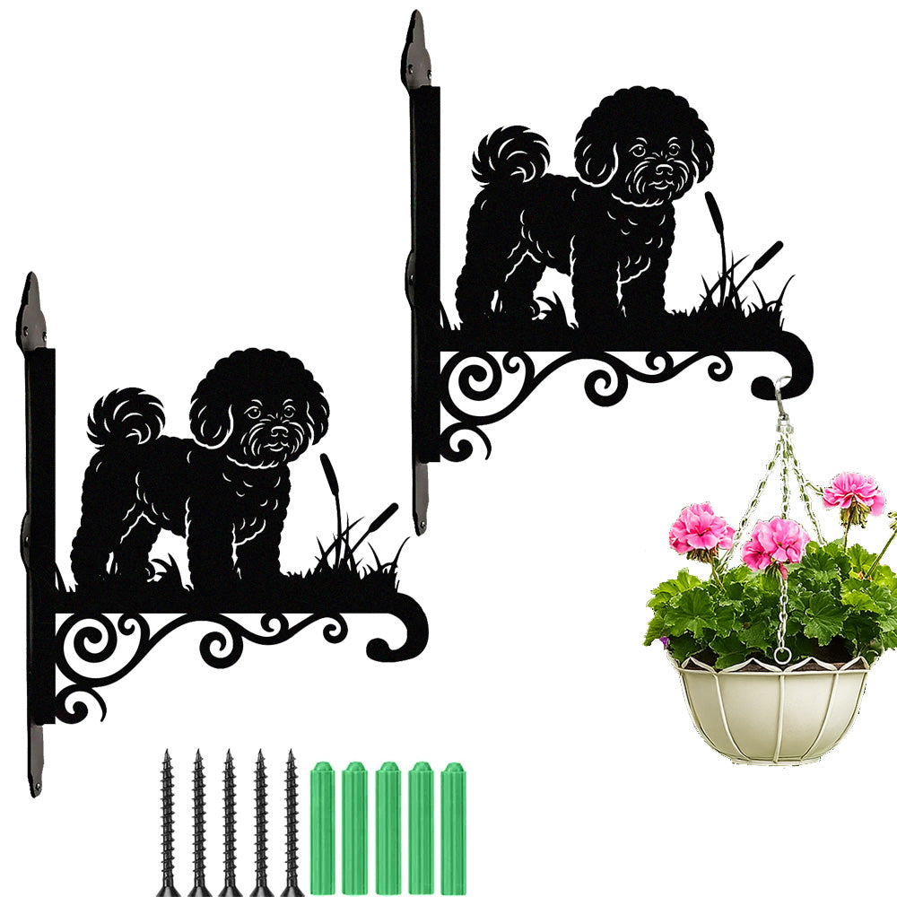 Bichon metal hanging basket bracket mounted on outdoor wall for plant decoration