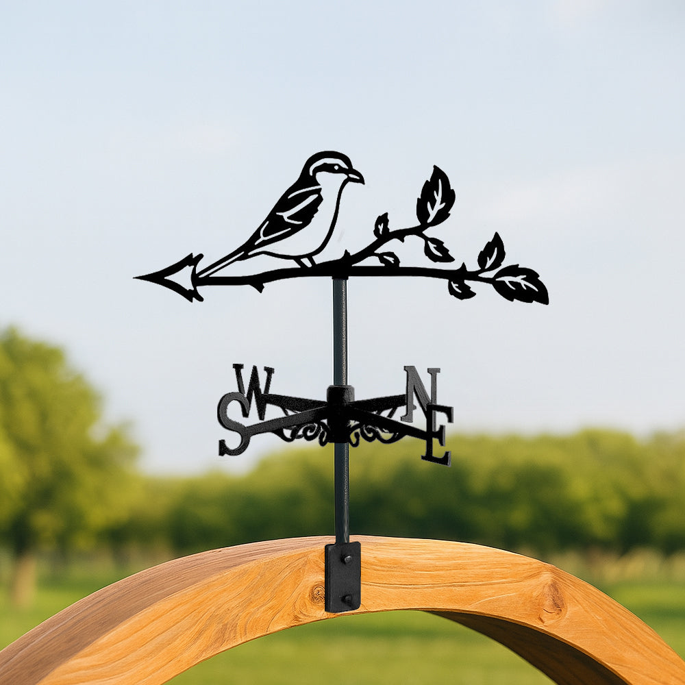 Bird on branch metal weather vane with directional arrows and mounting rod, outdoor roof and garden decoration