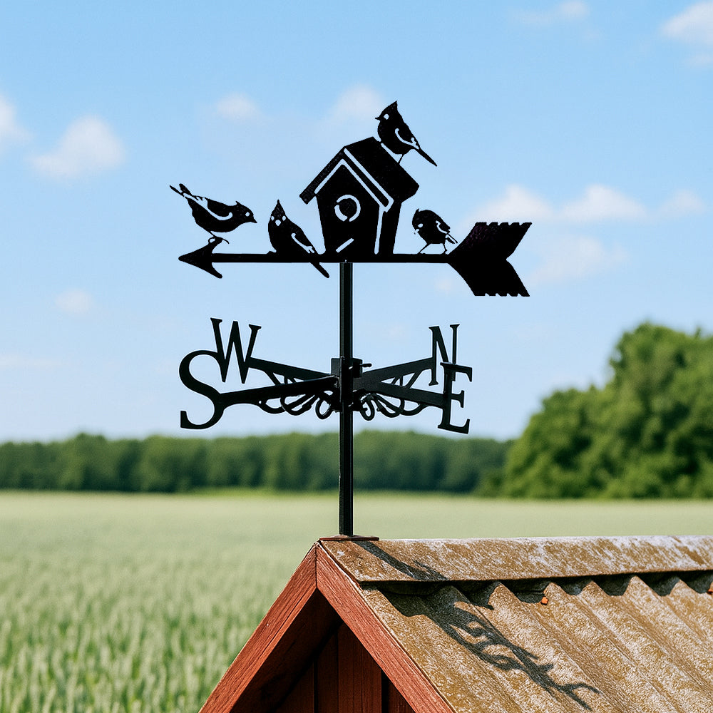 Birds and birdhouse metal weather vane with directional arrows and mounting rod, outdoor roof and garden decoration