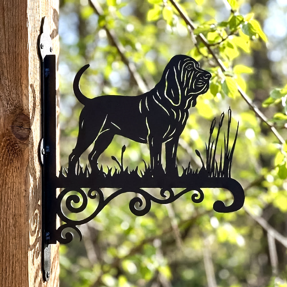 Bloodhound metal hanging basket bracket mounted on outdoor wall for plant decoration