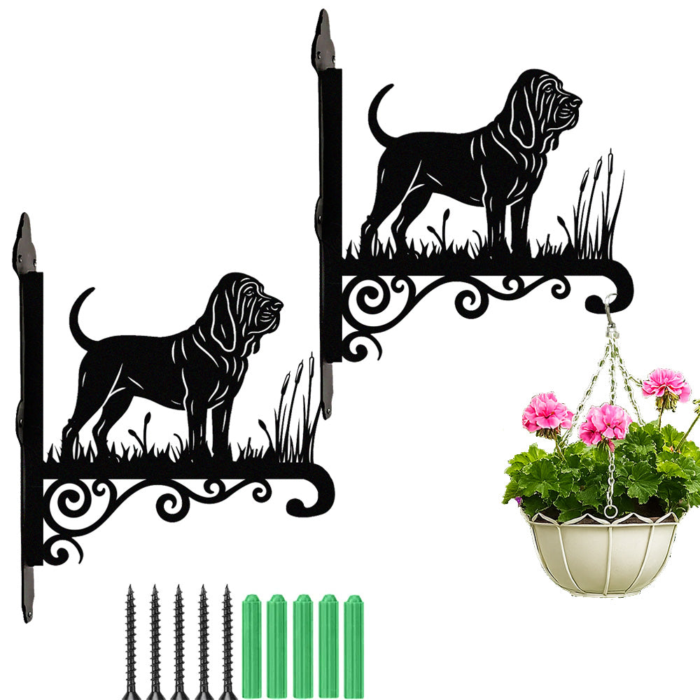 Bloodhound metal hanging basket bracket mounted on outdoor wall for plant decoration