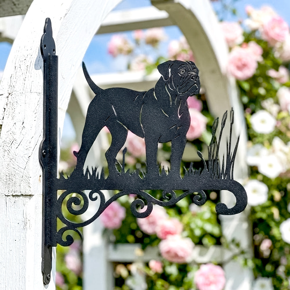Boerboel metal hanging basket bracket mounted on outdoor wall for plant decoration